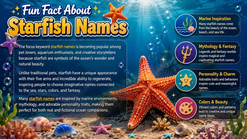 Fun Fact About Starfish Names